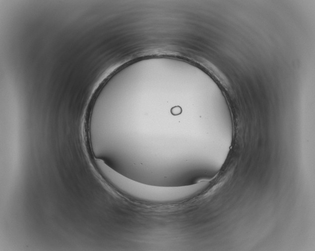 X0000111420893200908031302