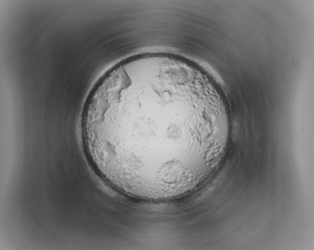 X0000111420895200908031302