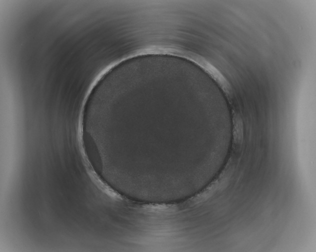 X0000111420896200908031302