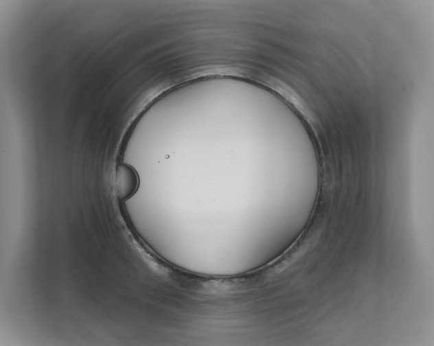 X0000111420898200908031302