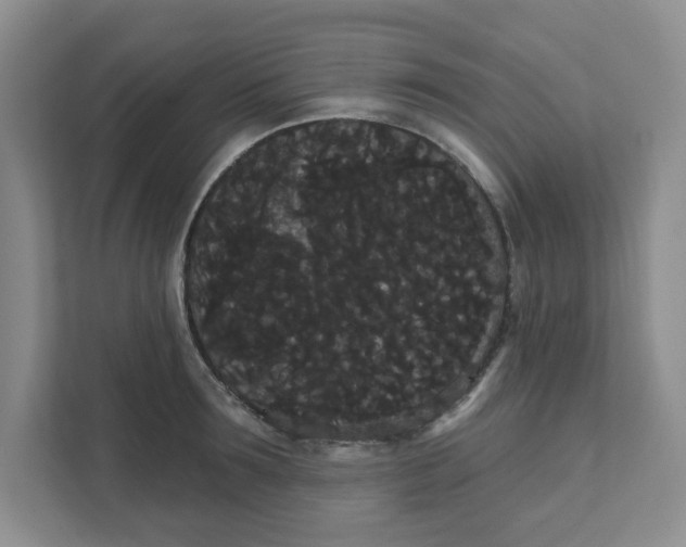 X0000111420899200908031302