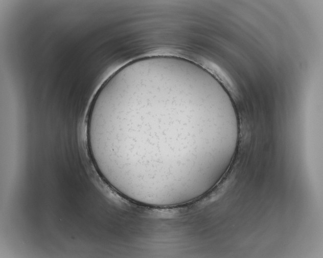 X0000111420900200908031302