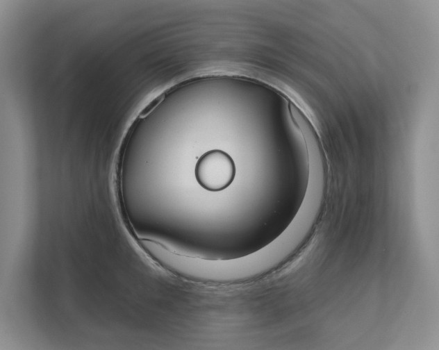 X0000111420901200908031302