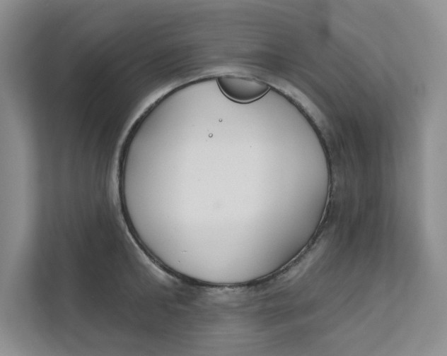 X0000111420902200908031302