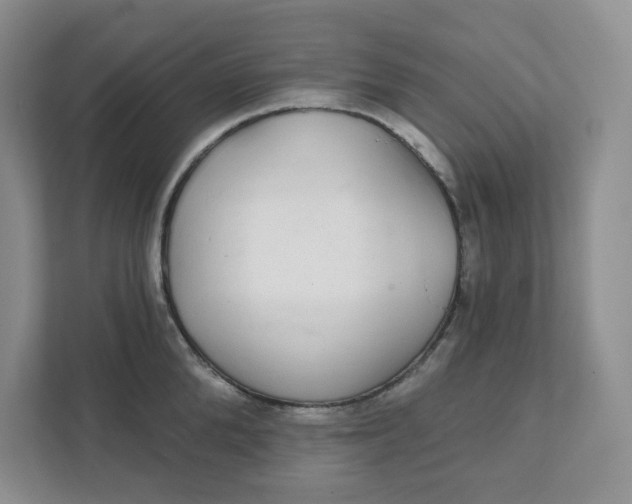 X0000111420904200908031302