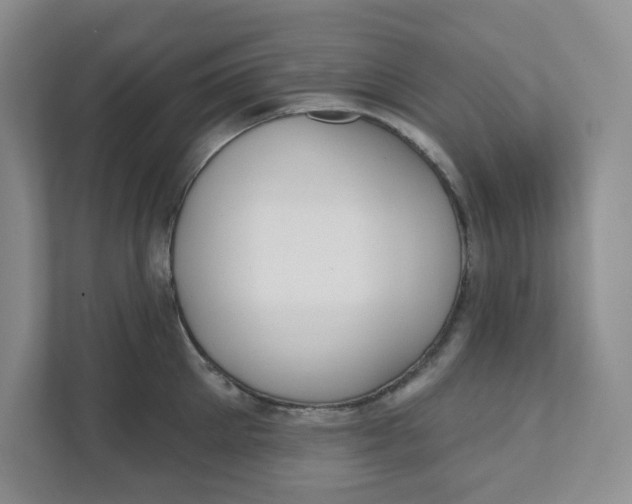 X0000111420905200908031302