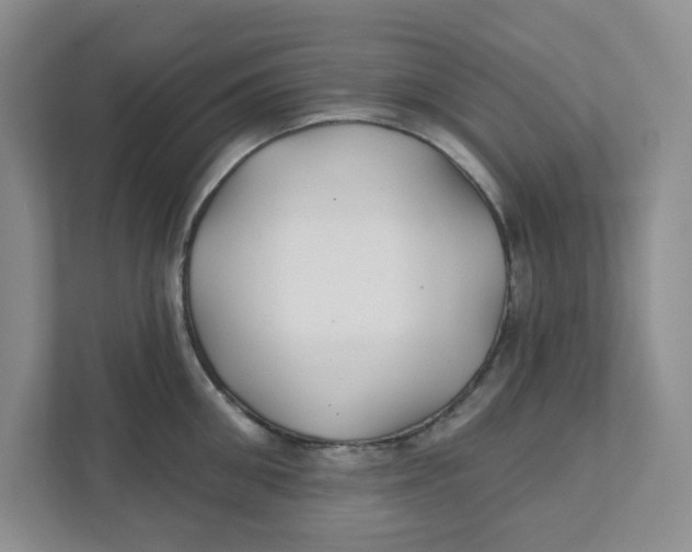 X0000111420906200908031302