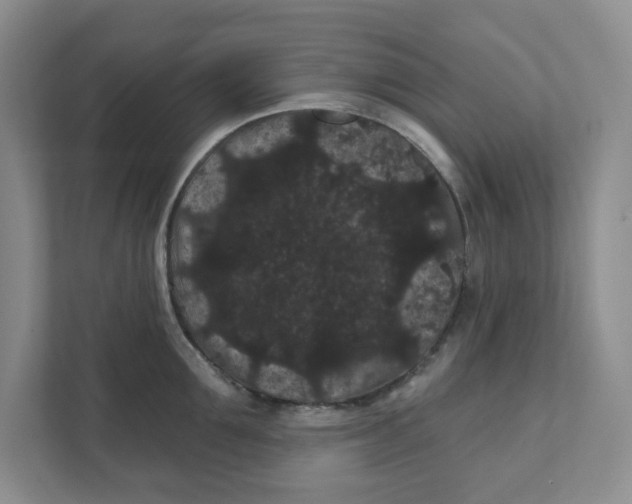 X0000111420907200908031302