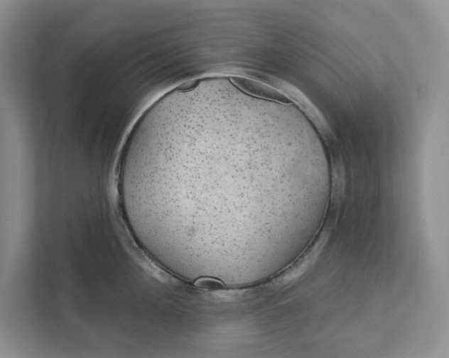 X0000111420908200908031302