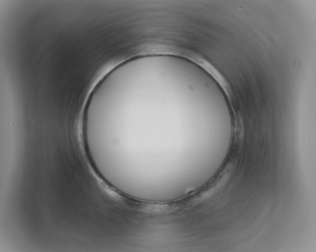 X0000111420909200908031302