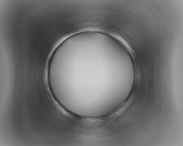 X0000111420910200908031302