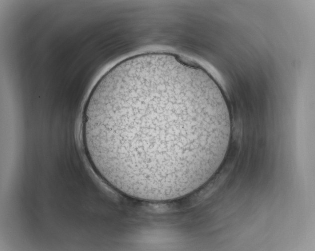 X0000111420911200908031302