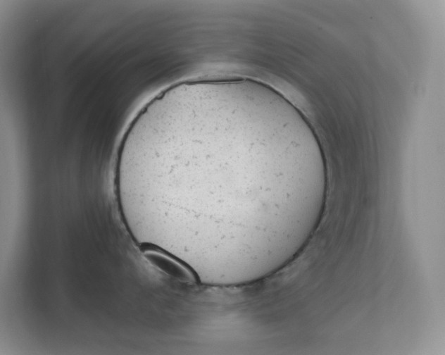 X0000111420912200908031302