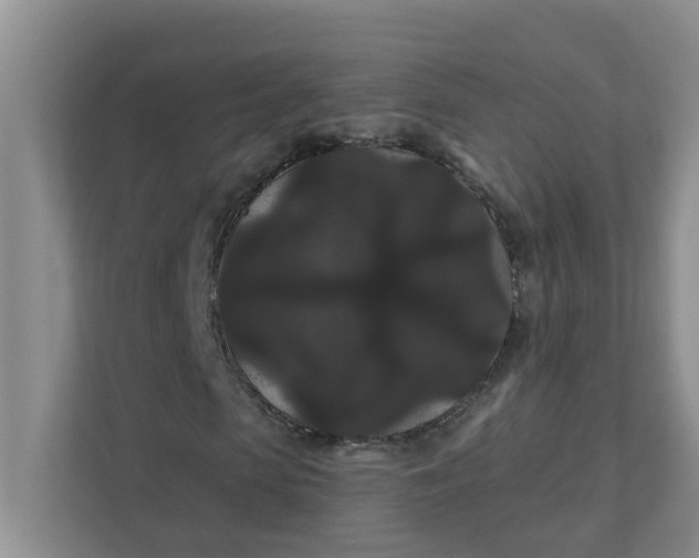 X0000111420913200908031302