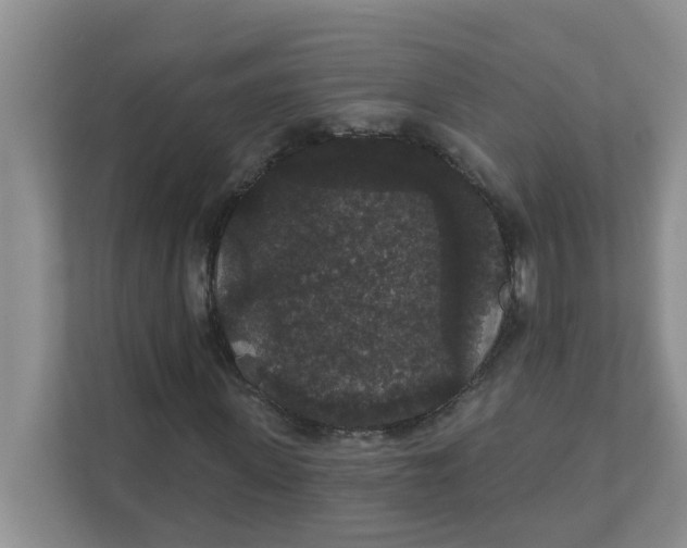 X0000111420915200908031302