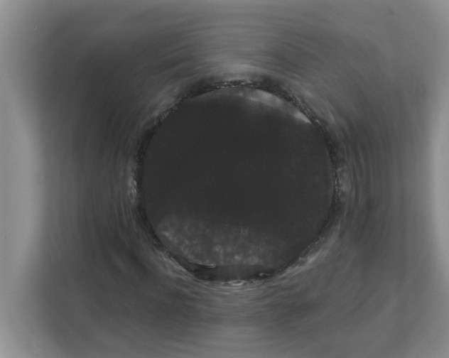 X0000111420916200908031302