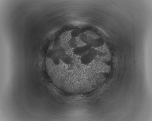 X0000111420917200908031302