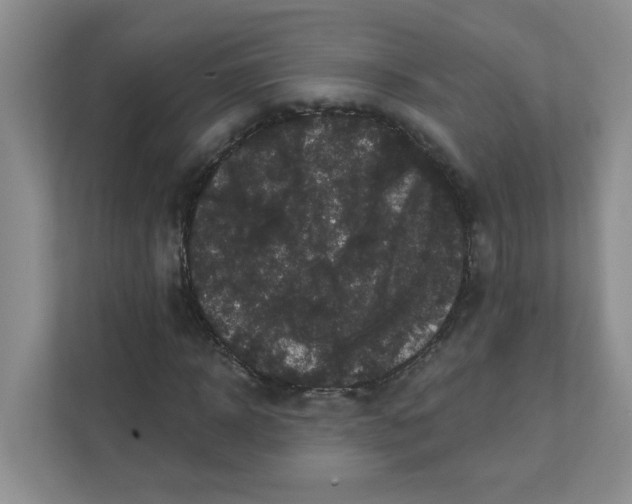 X0000111420918200908031302