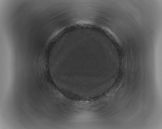 X0000111420919200908031302