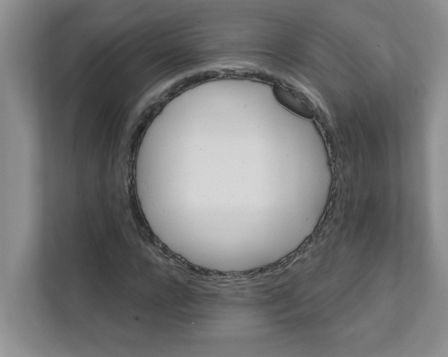 X0000111420920200908031302