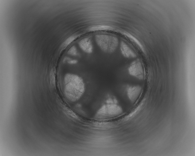 X0000111420921200908031302