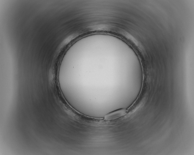 X0000111420922200908031302