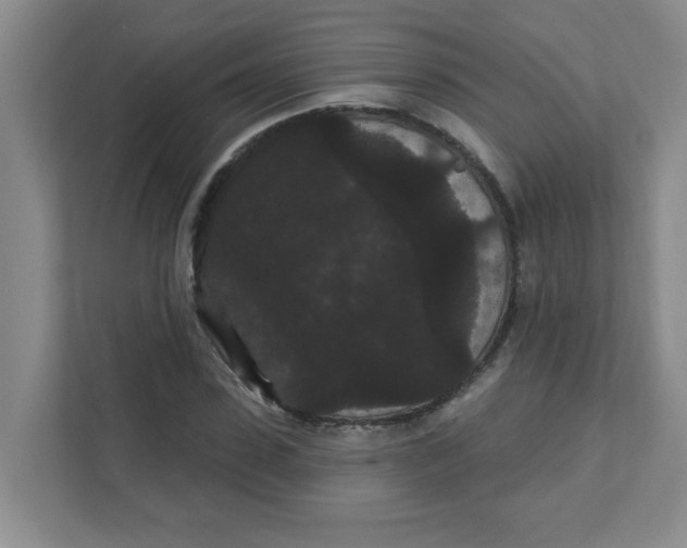 X0000111420923200908031302