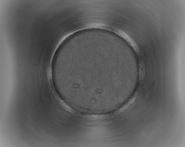 X0000111420924200908031302