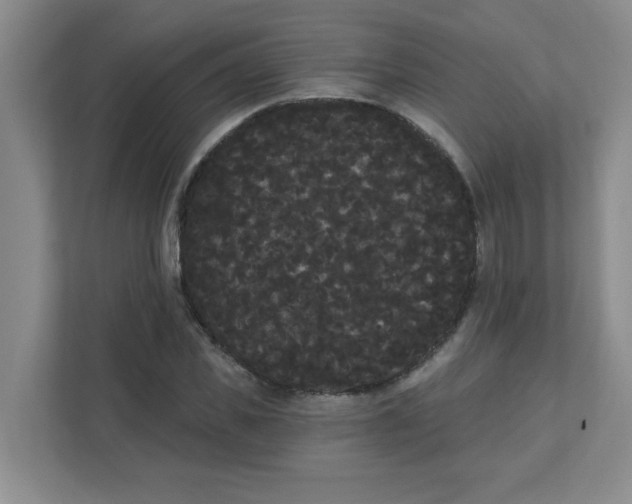 X0000111420925200908031302