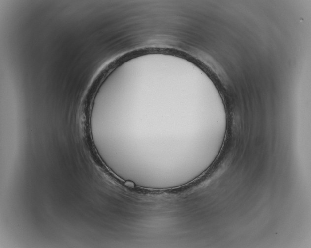 X0000111420926200908031302