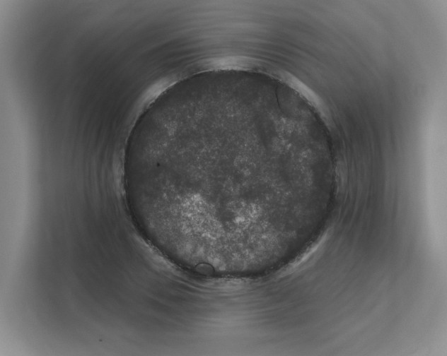 X0000111420930200908031302