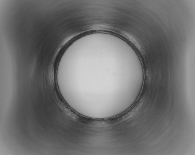 X0000111420931200908031302