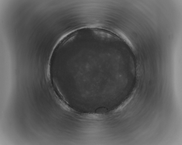 X0000111420932200908031302