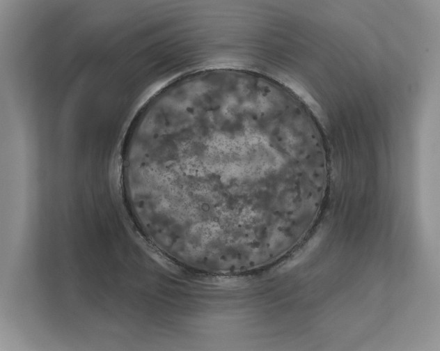 X0000111420933200908031302