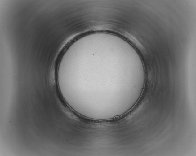 X0000111420934200908031302