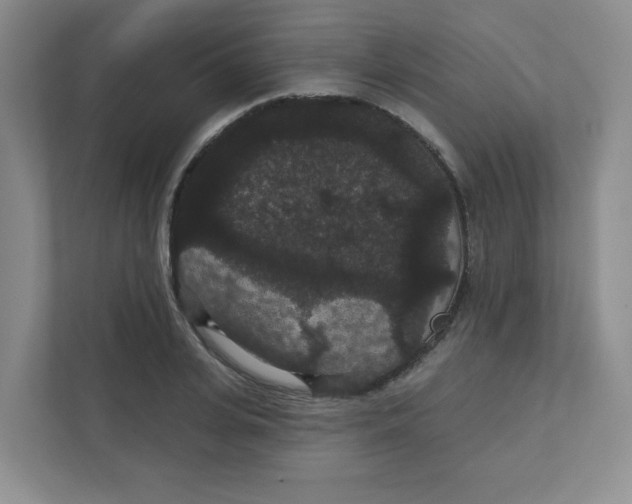 X0000111420935200908031302