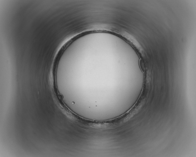 X0000111420936200908031302