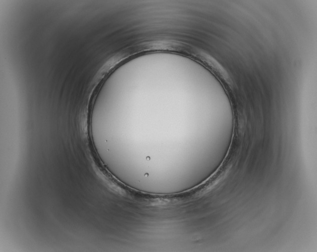 X0000111420938200908031302