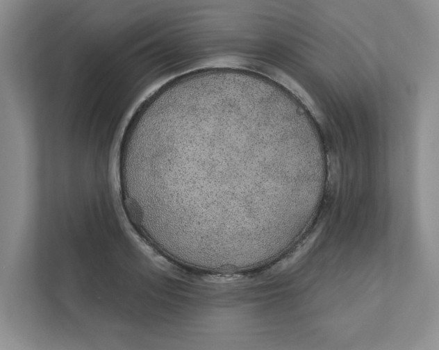 X0000111420939200908031302