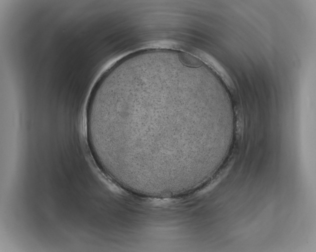 X0000111420940200908031302