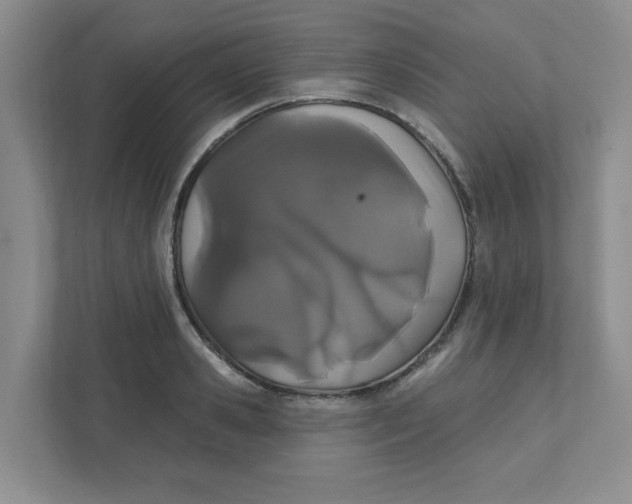 X0000111420941200908031302