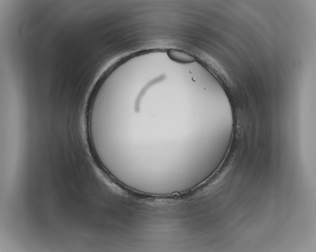 X0000111420942200908031302