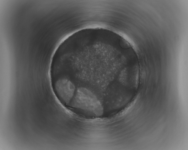 X0000111420943200908031302