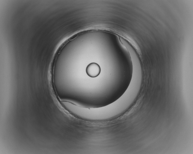 X0000111420944200908031302