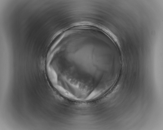 X0000111420945200908031302