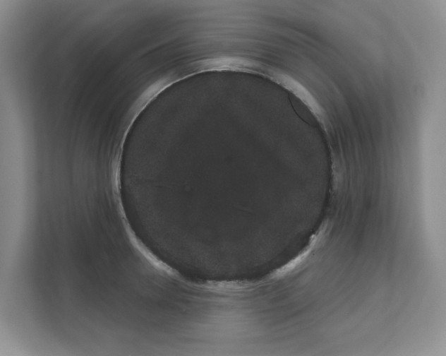 X0000111420946200908031302