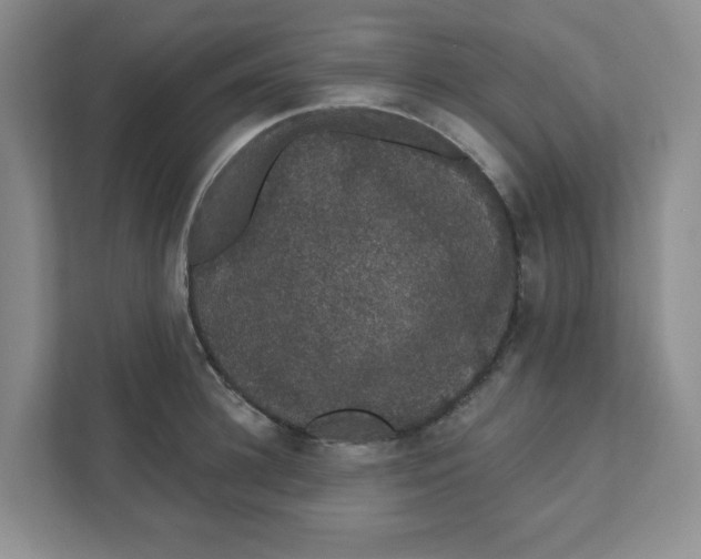 X0000111420948200908031302