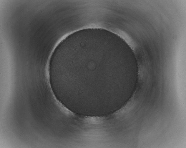 X0000111420950200908031302