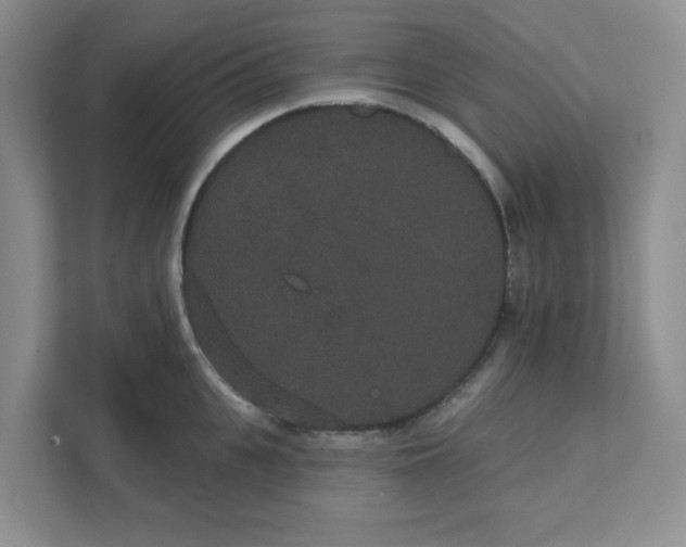 X0000111420951200908031302