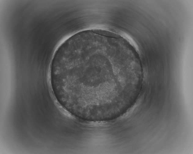 X0000111420952200908031302